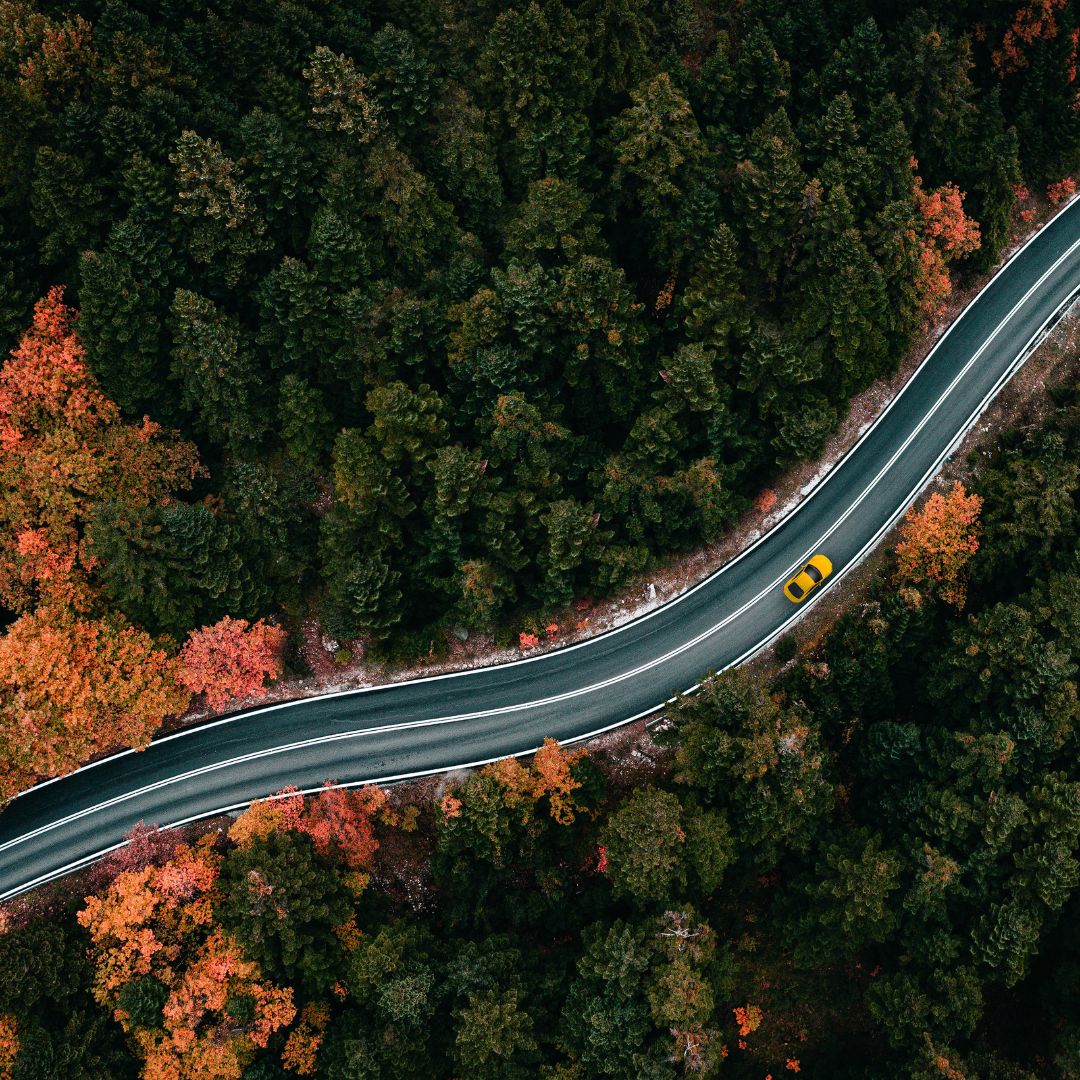 A yellow car driving down a wildy round in the mountains with fall tree all over.